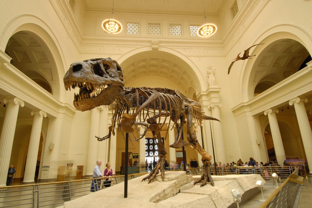 The Big City Blog “Free Days” return to the Field Museum in 2018 for