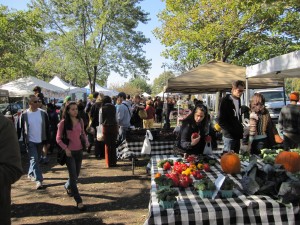 Logan Square farmers market - NoShameAdventures