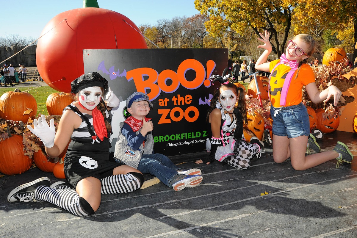 The Real Chicago – The Big City Blog: Halloween events at Brookfield Zoo, Fall Fest, Chili Fest ...