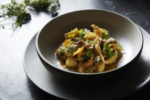 Sepia gnocchi (Credit Paul Strabbing)