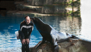 Shedd with sea lion