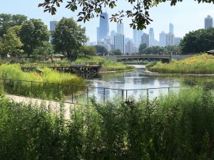 lincoln-park-zoo-web