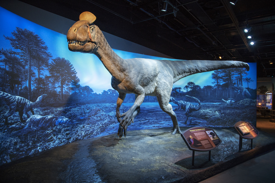 dinosaur traveling exhibits